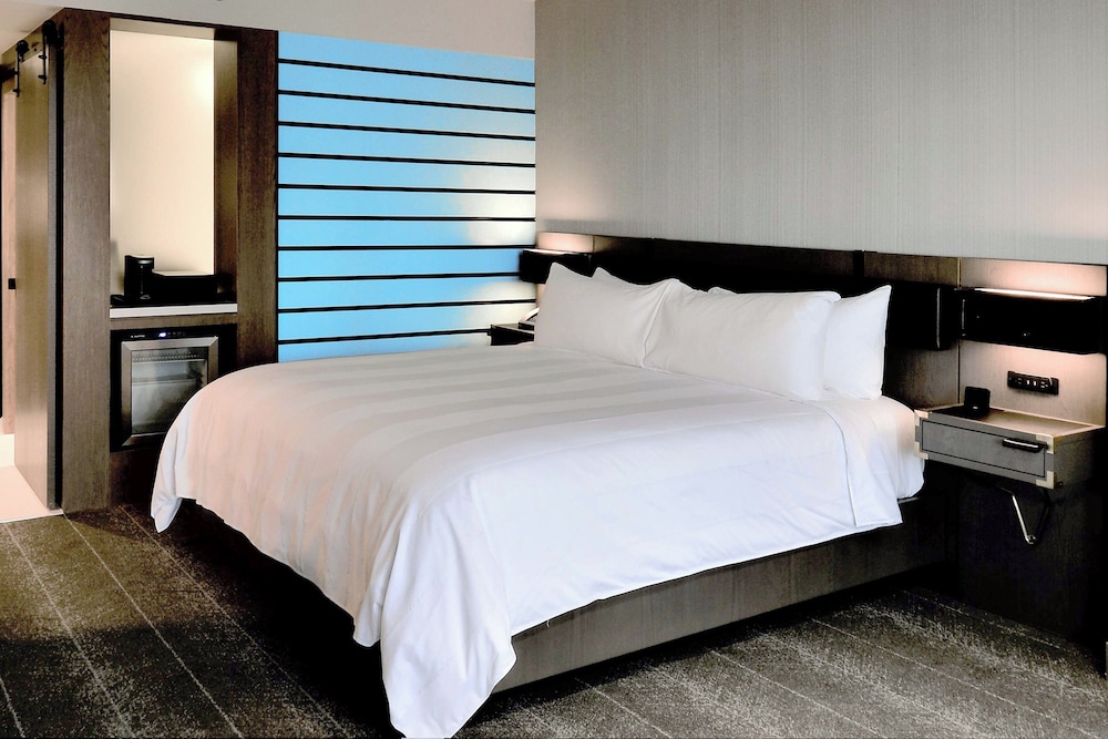 Renaissance Reno Downtown Hotel & Spa - photo 26