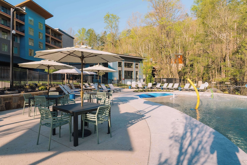 Embassy Suites by Hilton Gatlinburg Resort - photo 42