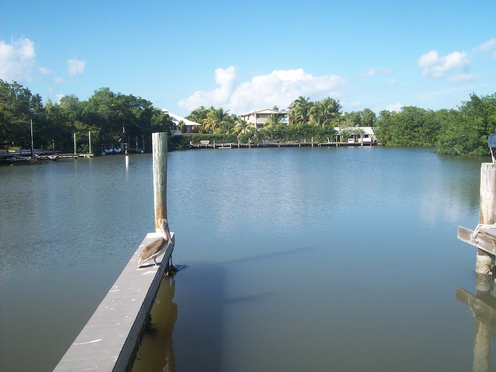 Kingsail Resort - photo 50