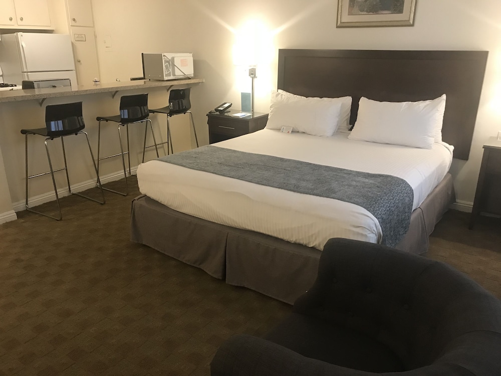 Hollywood Orchid Suites - photo 9
