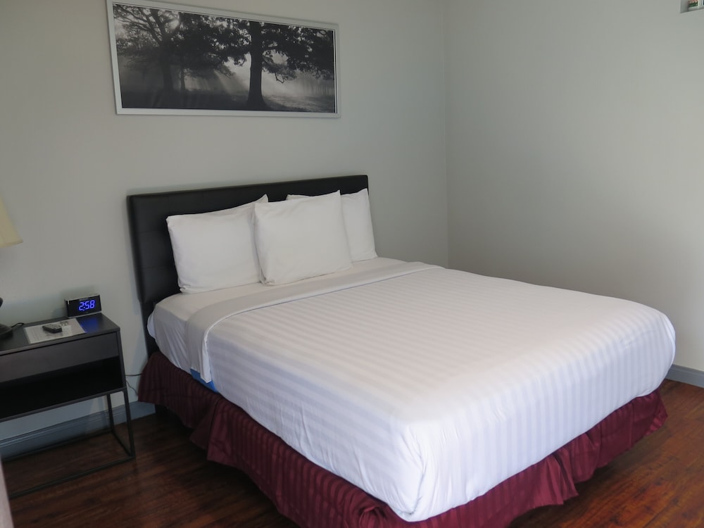 Dtla Hotel - photo 6
