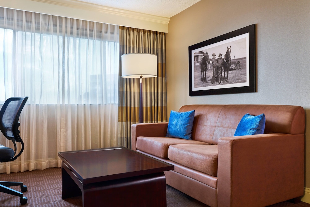 Sheraton North Houston at George Bush Intercontinental - photo 11