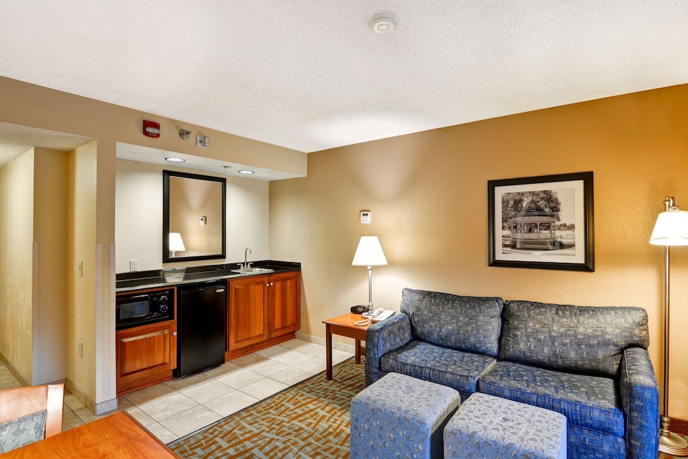 Hampton Inn Hendersonville - photo 26