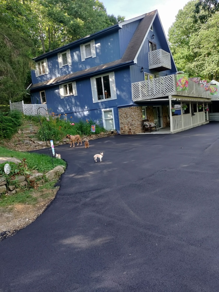 Lil Black Bear Inn - photo 142