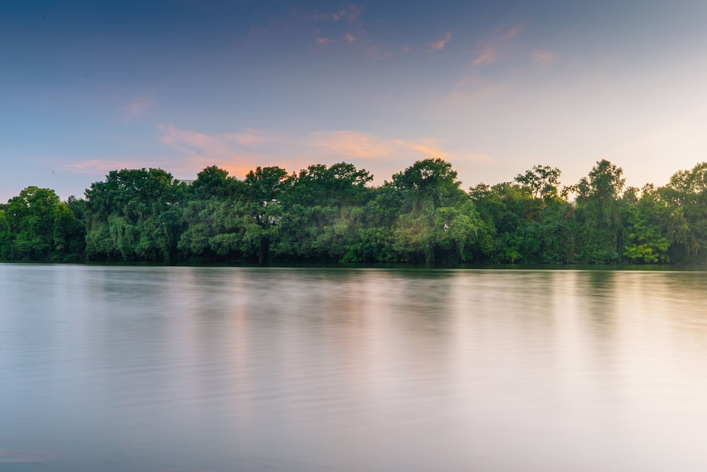Four Seasons Hotel Austin - photo 153