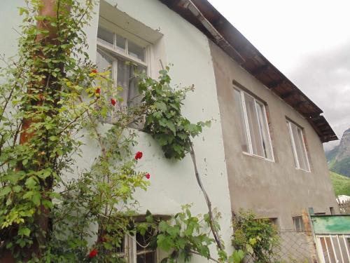 Jimsher Naveriani Guesthouse