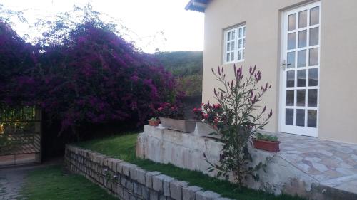 Refugio Na Serra 16801483 — Bananeiras