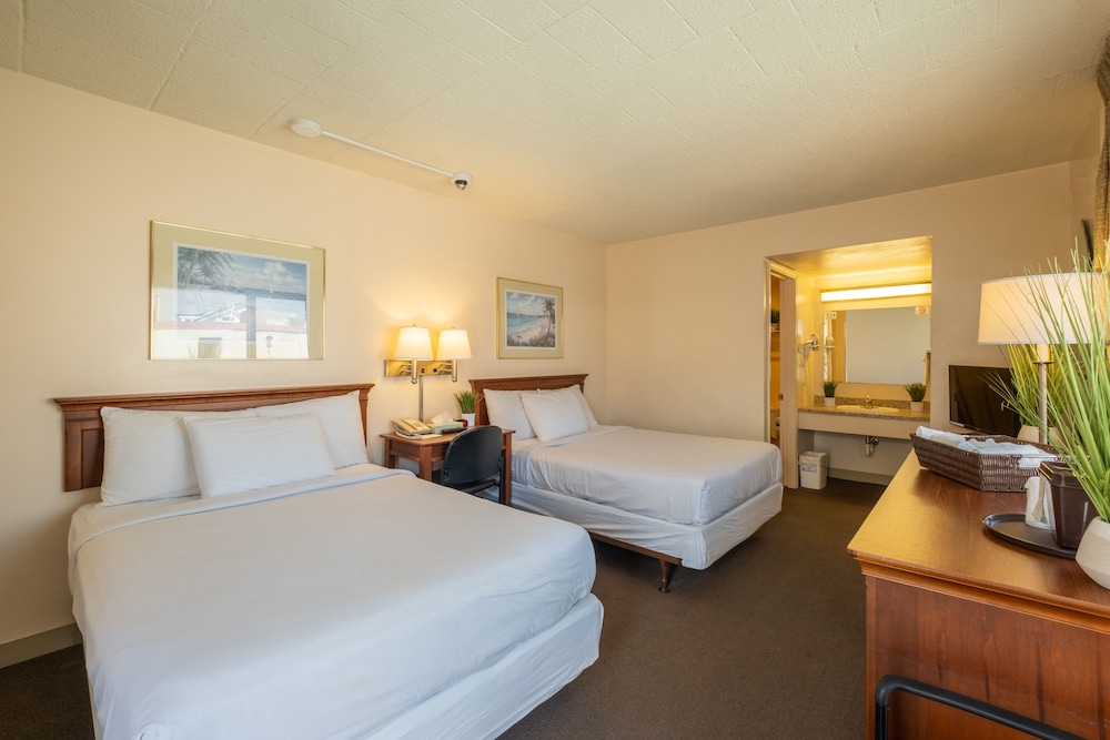 Tahiti Inn - photo 8