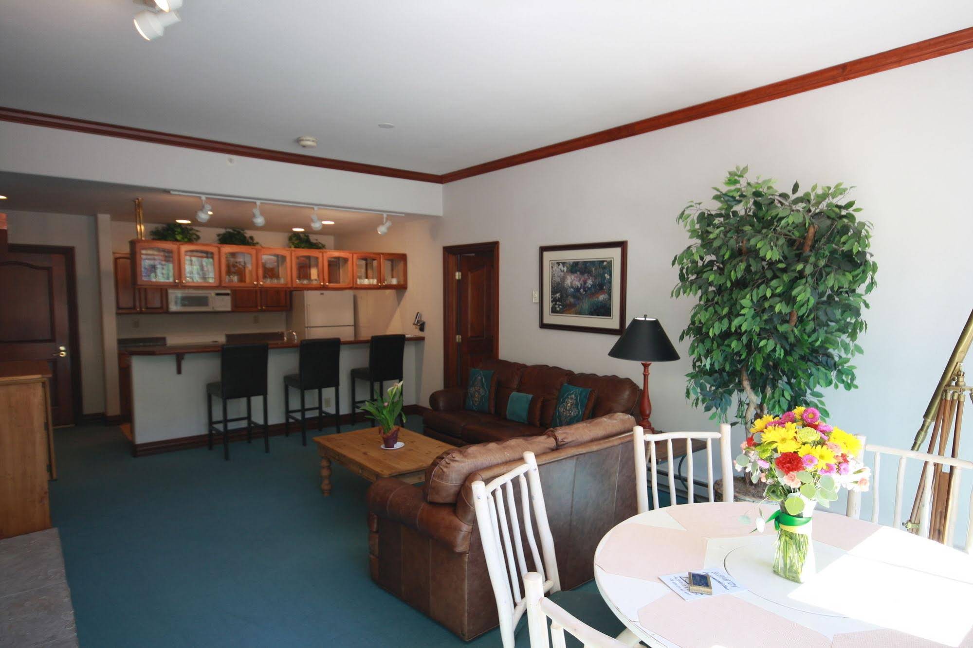 Snowberry by Elevation Accommodations - photo 35