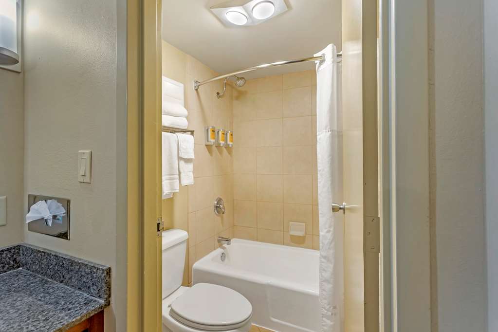 Best Western Plus Burley Inn & Convention Center - photo 21