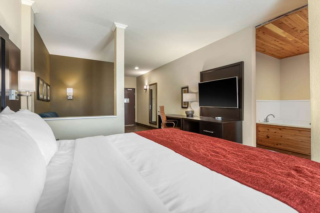 Comfort Inn & Suites Cedar Rapids CID Eastern Iowa Airport - photo 32