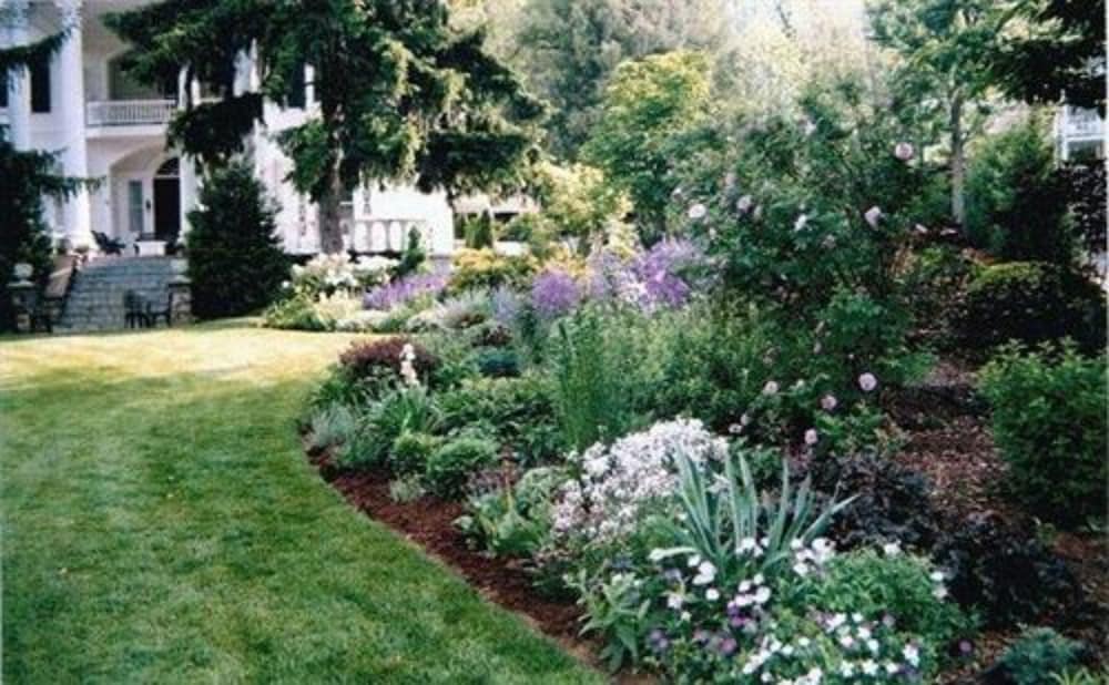 Albemarle Inn - photo 125