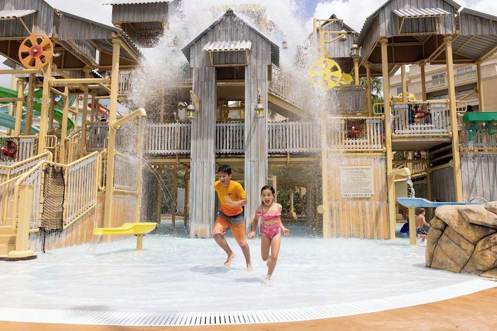 Gaylord Palms Resort & Convention Center - photo 47