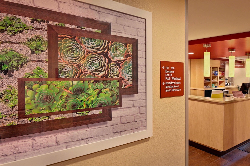 TownePlace Suites by Marriott Albany Downtown Medical Center - photo 2