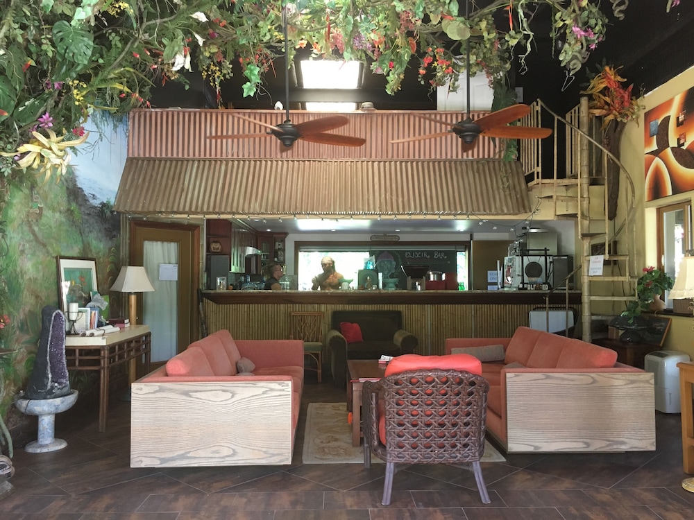 Hawaiian Sanctuary - photo 5