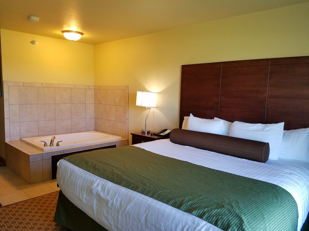 Cobblestone Inn & Suites Bottineau - photo 4