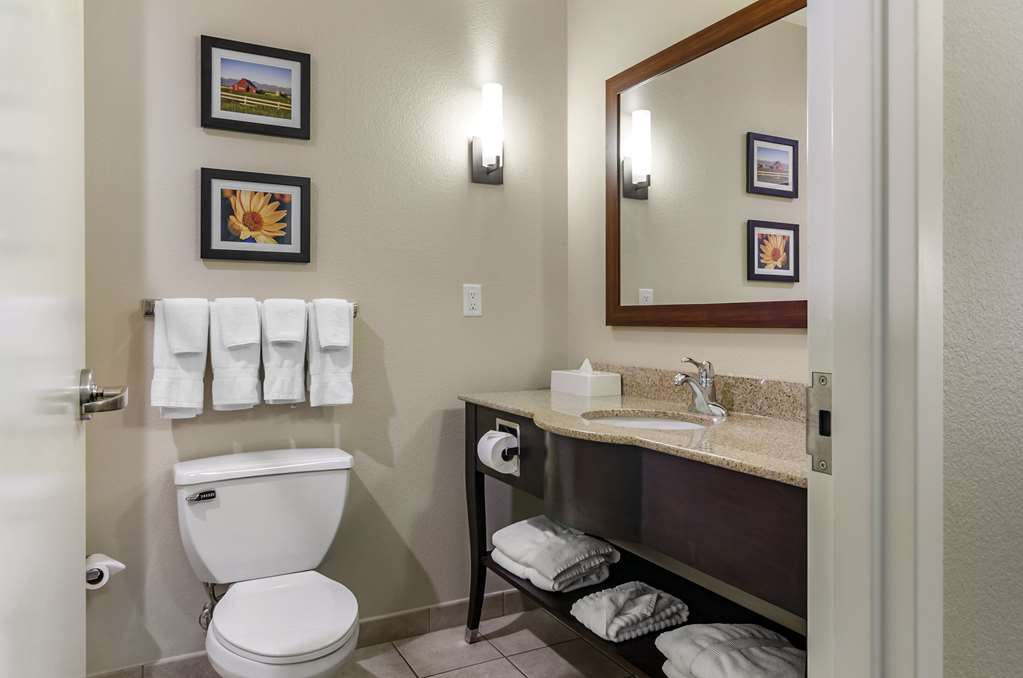 Comfort Suites Helena Airport - photo 26