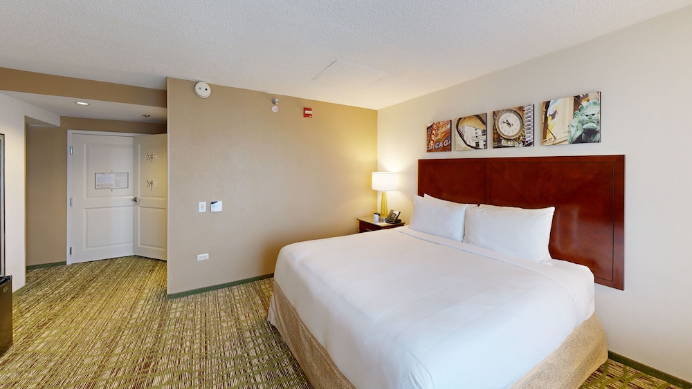 Marriott Chicago O'Hare - photo 16