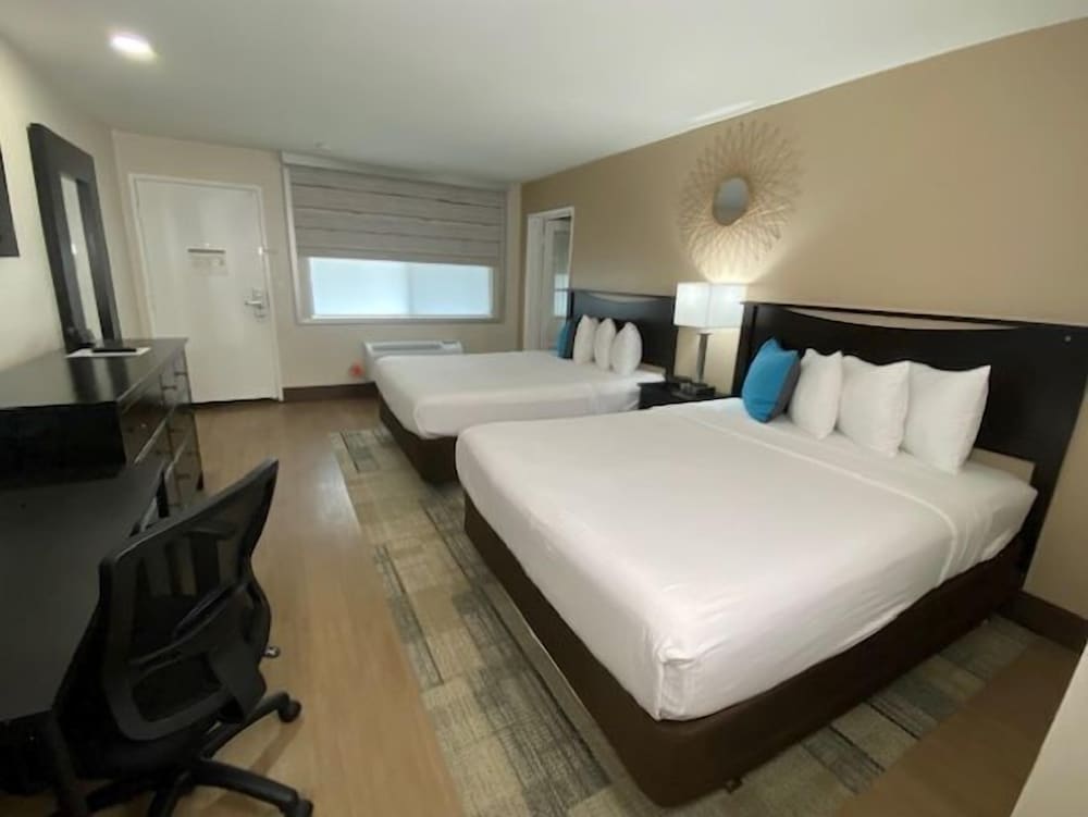 Stanford Inn & Suites Anaheim - photo 15