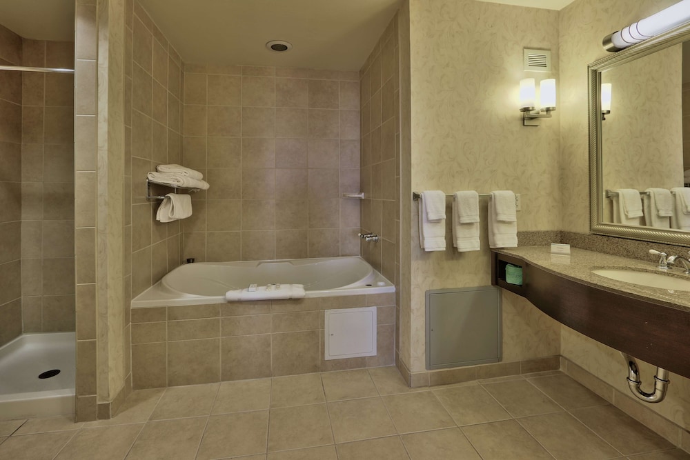 Hilton Garden Inn Las Cruces - photo 28