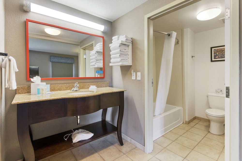 Hampton Inn & Suites Orlando Apopka - photo 49