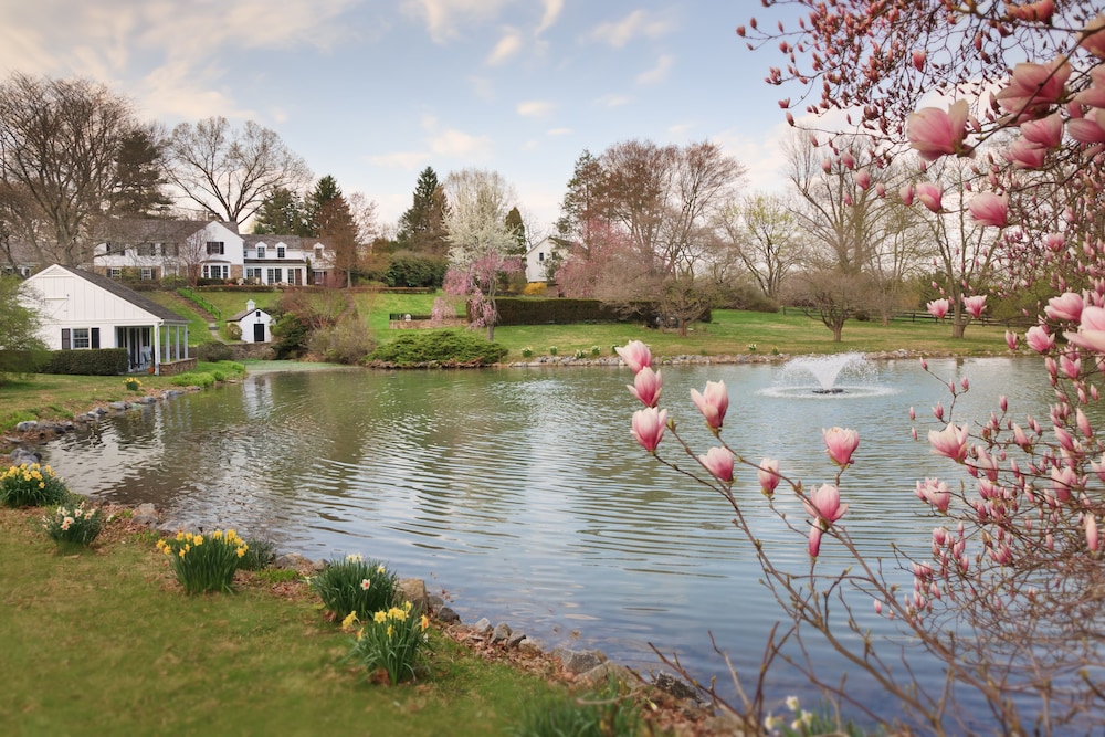 The Inn at Whitewing Farm - photo 2