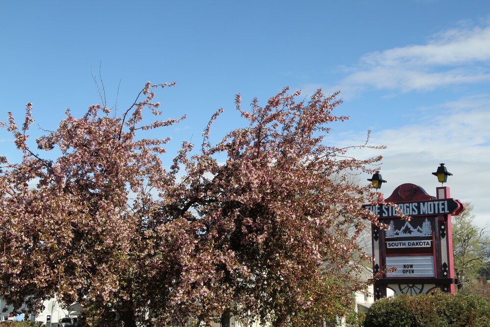 The Sturgis Motel - photo 25