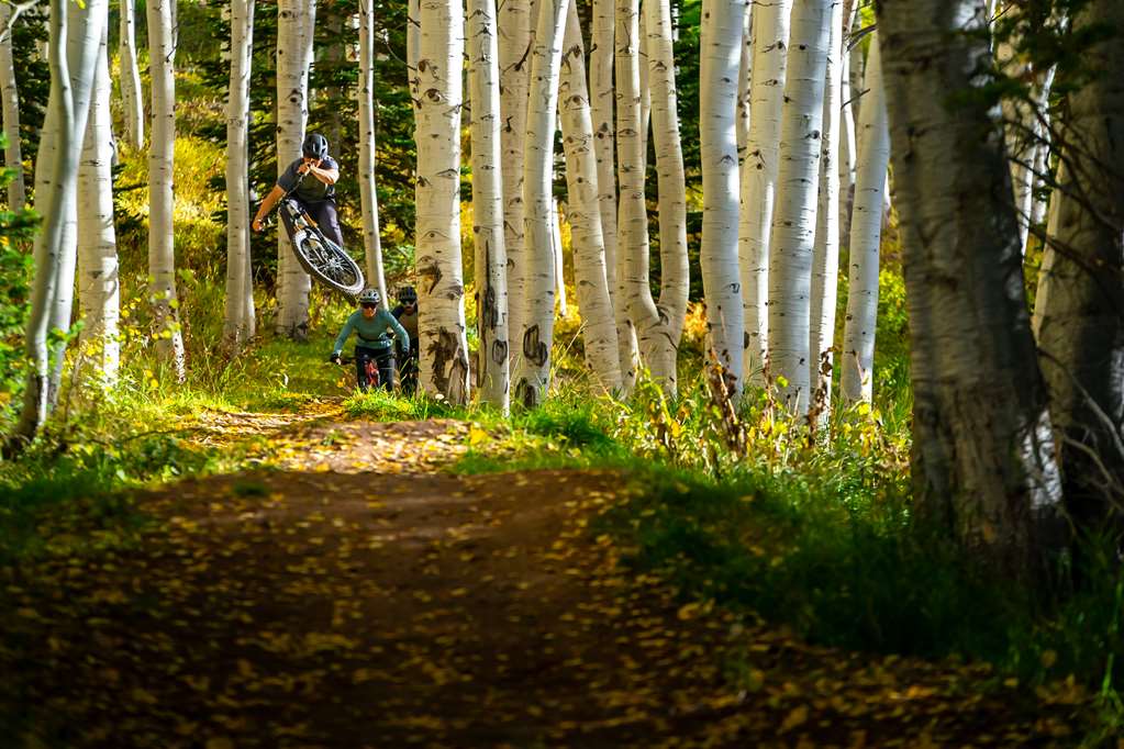 Grand Hyatt Deer Valley - photo 15