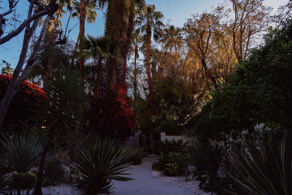 Villa Royale - photo 41