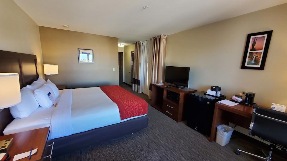 City Express by Marriott Tempe - photo 29