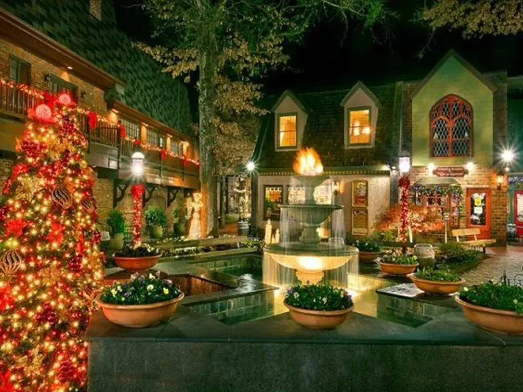 Elk Springs Resort - photo 11