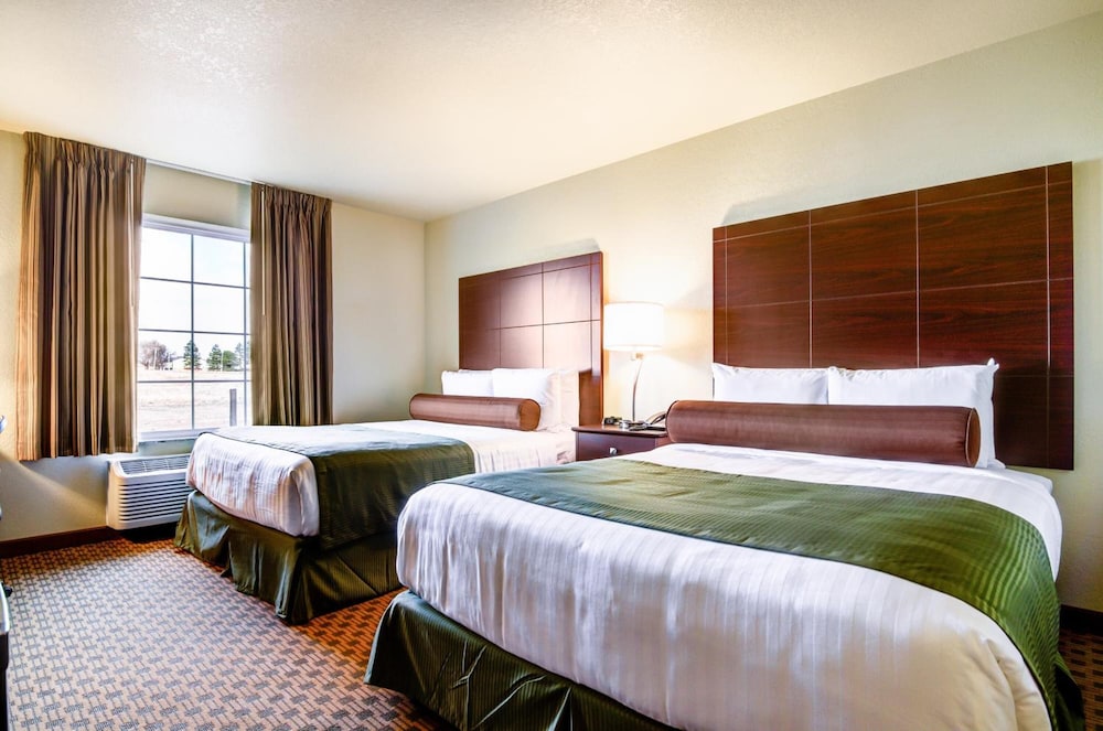 Cobblestone Inn and Suites Winterset - photo 27