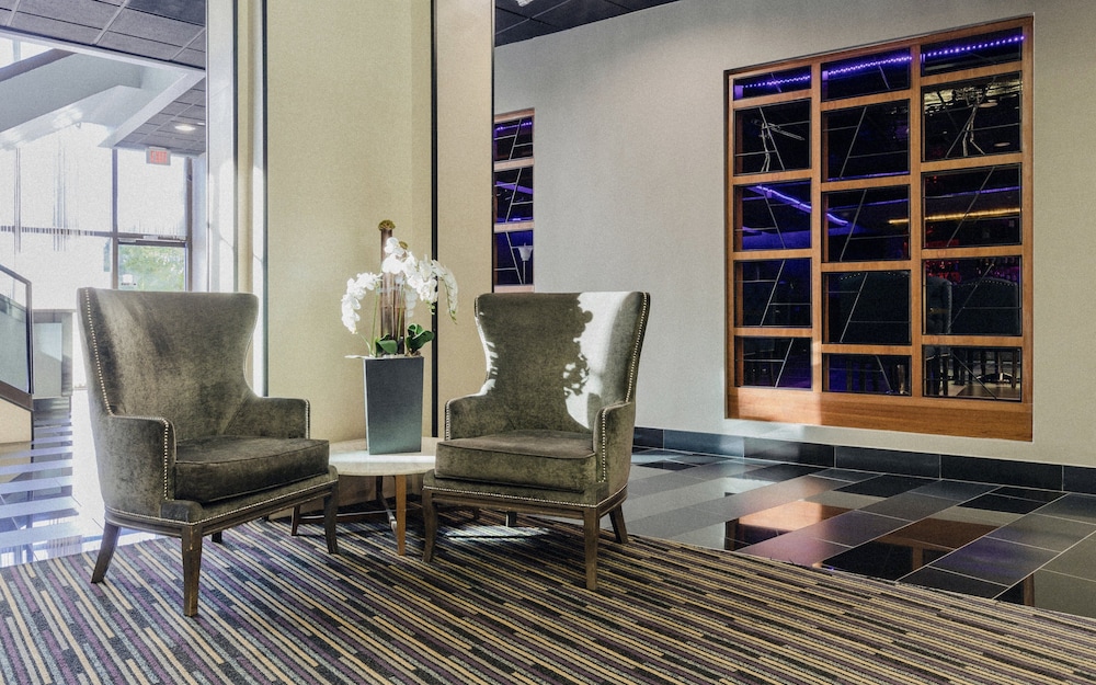 The Hills Hotel - photo 5