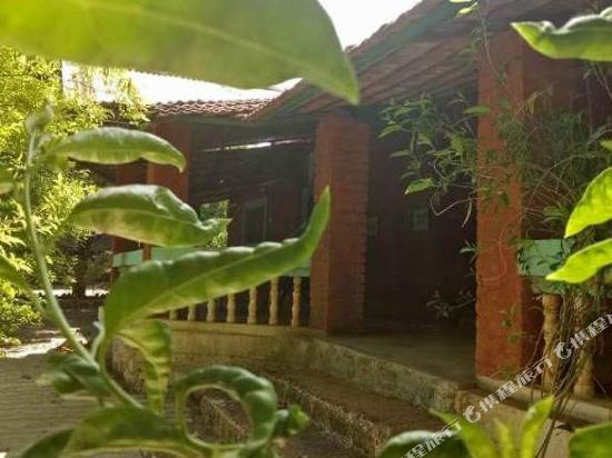 Polo Forest Cottage — Himatnagar — photo 5