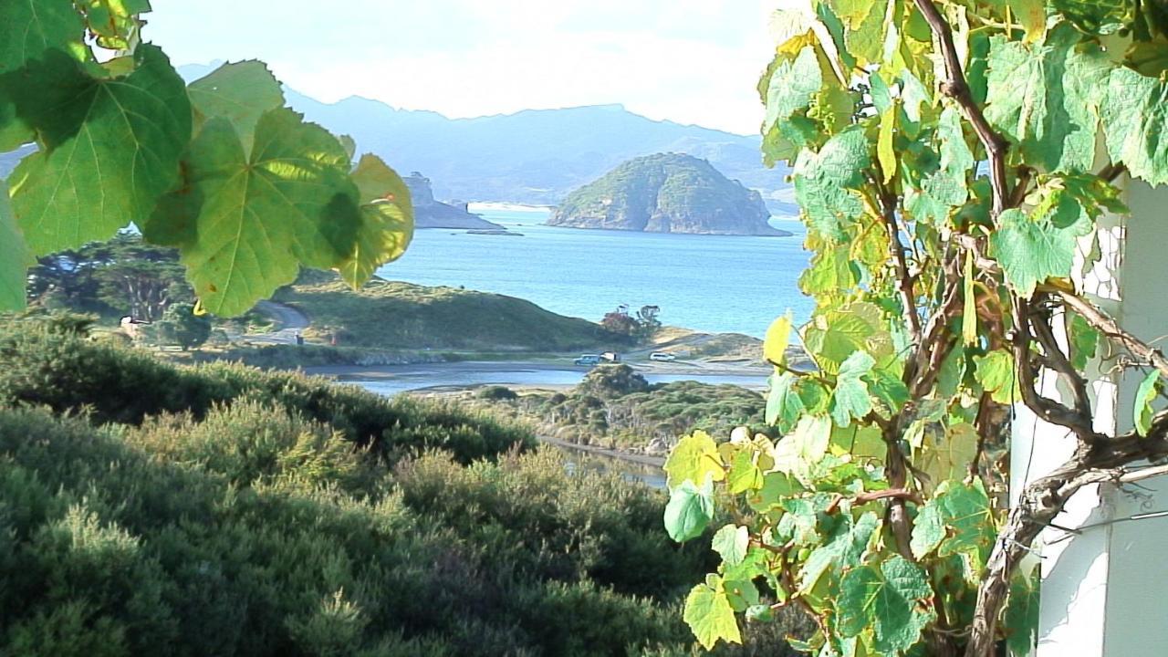 Medlands Beach Bach - last minute hotel in Unknown City