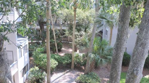Treetops Villas - featured photo