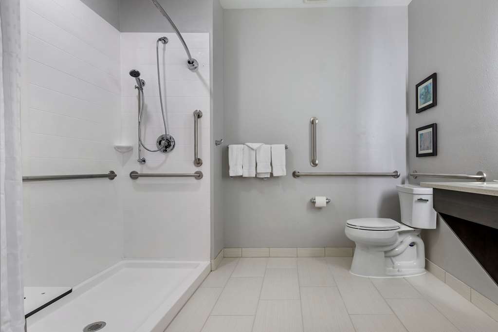 Comfort Suites Greenville Airport - photo 19