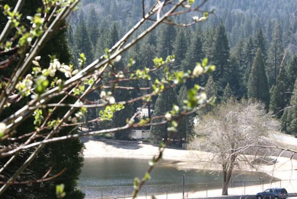 The North Shore Inn - photo 66