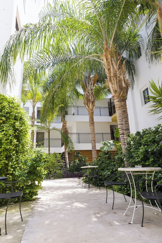 Alecos Hotel Apartments in Paphos, Cyprus