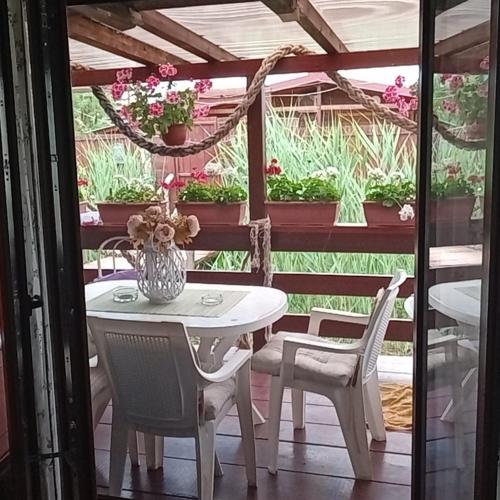 Vanilla in Unknown City, Montenegro