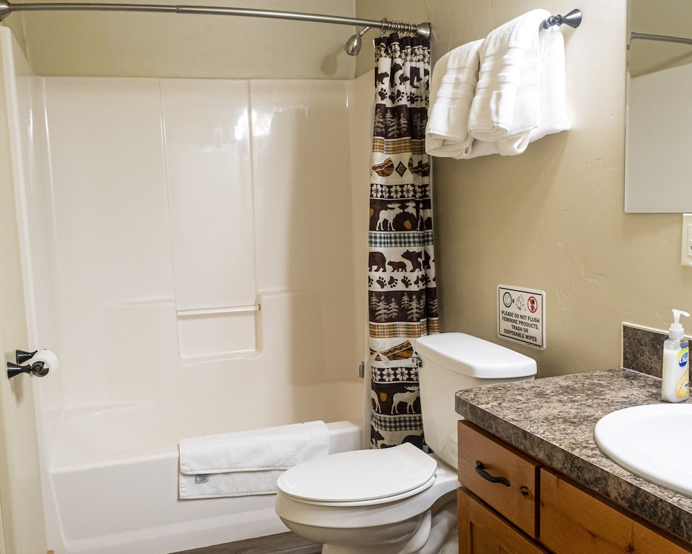 Sawtelle Mountain Resort - photo 41