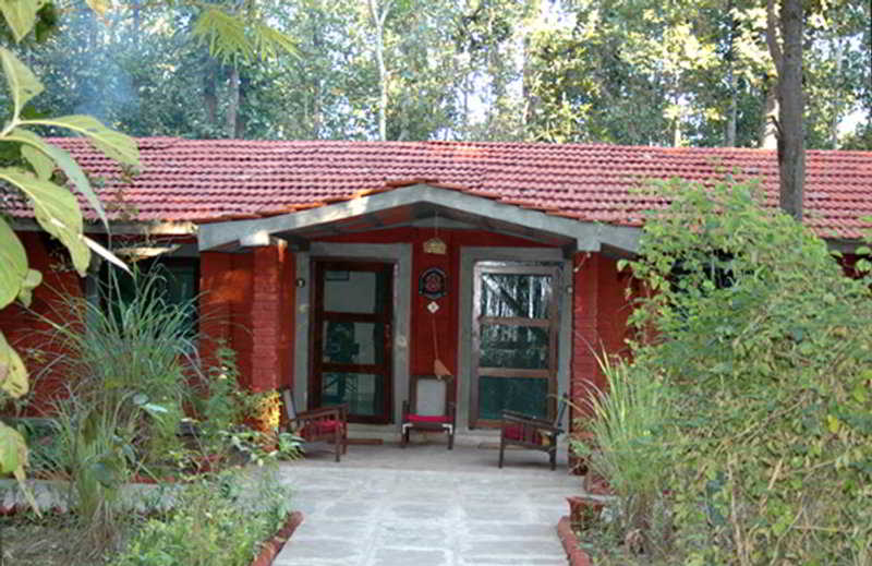 Kanha Jungle Lodge