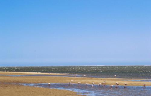 Seadrive — Walvis Bay — photo 3
