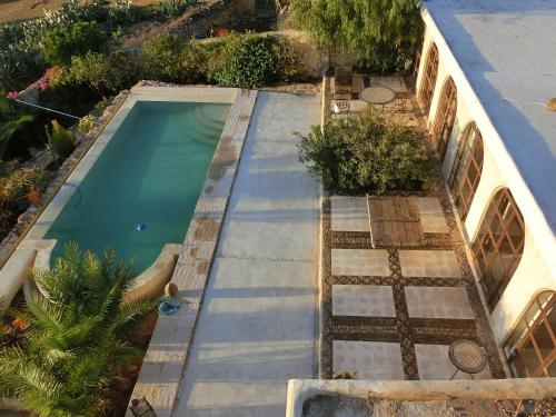 Les Franginesaumaroc — Essaouira — photo 3