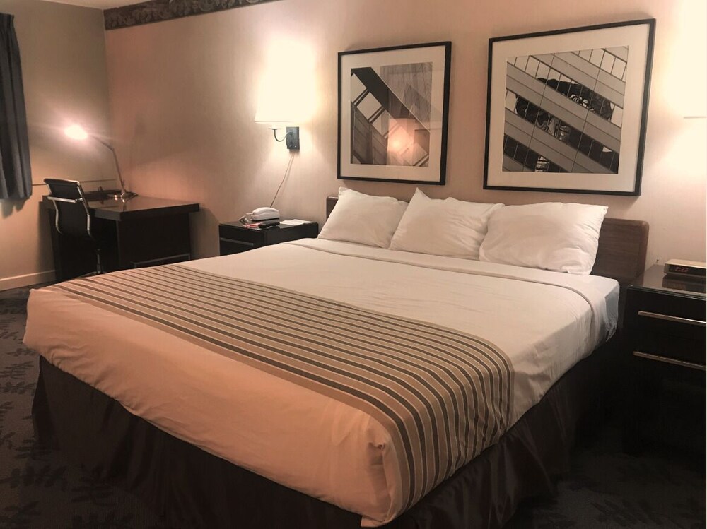 Econo Lodge Hurley Ironwood - photo 2