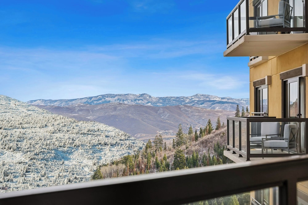 The St. Regis Deer Valley - photo 79