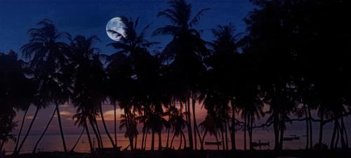 Harish Beach Resort — Rameswaram — photo 4
