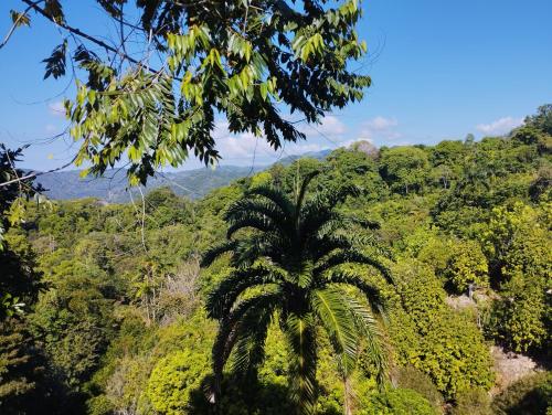 Finca Makambu — San Jose — photo 4
