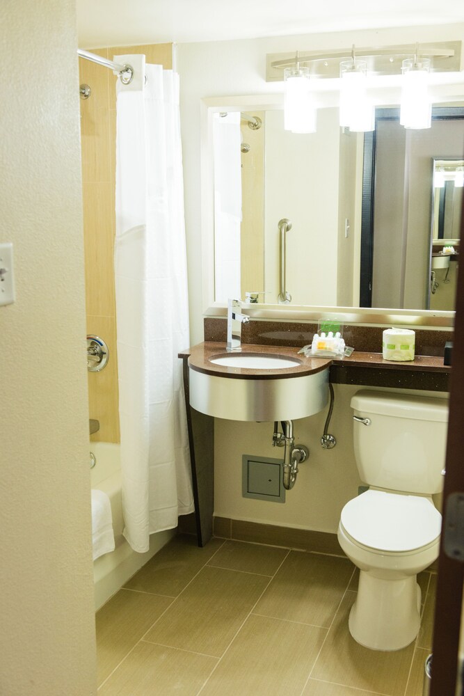 Holiday Inn Houston Downtown by IHG - photo 3