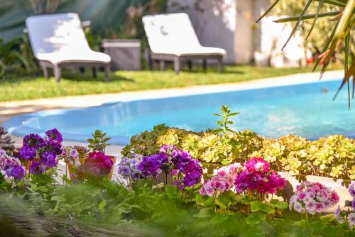 Casa en los troncos Parque Primavesi. — 4-Star Luxury Hotel in Mar Del Plata, Argentina